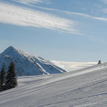 Haus Pfauth Διαμέρισμα Tannheim