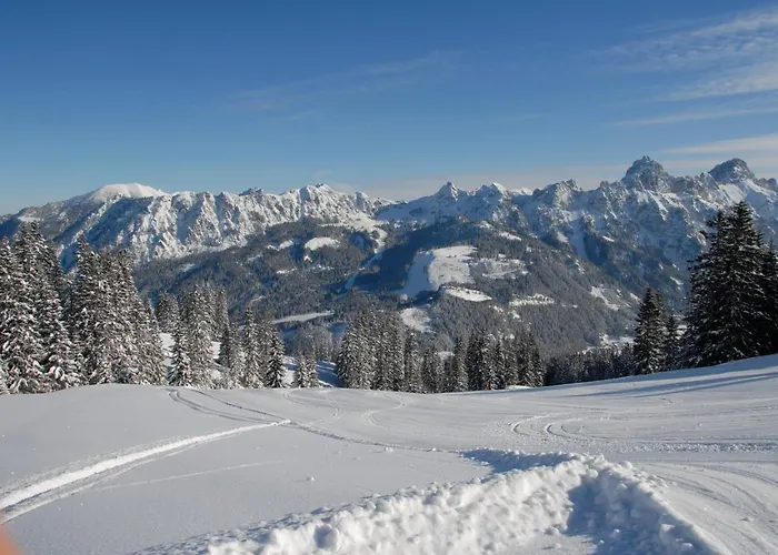 Haus Pfauth Apartament Tannheim